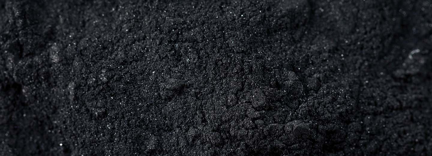 Tout savoir sur le charbon actif