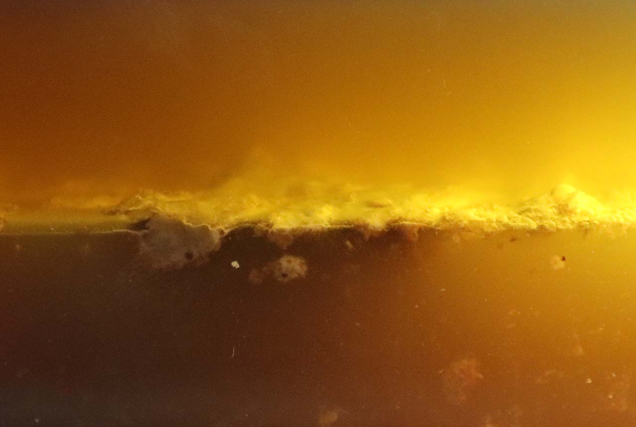 Image non trouvée